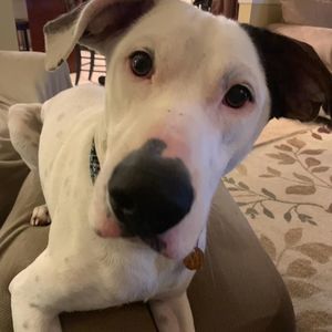 Meet your Posher, Carrie